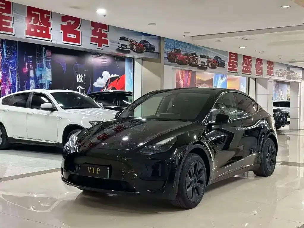 Tesla Model Y — фото 8