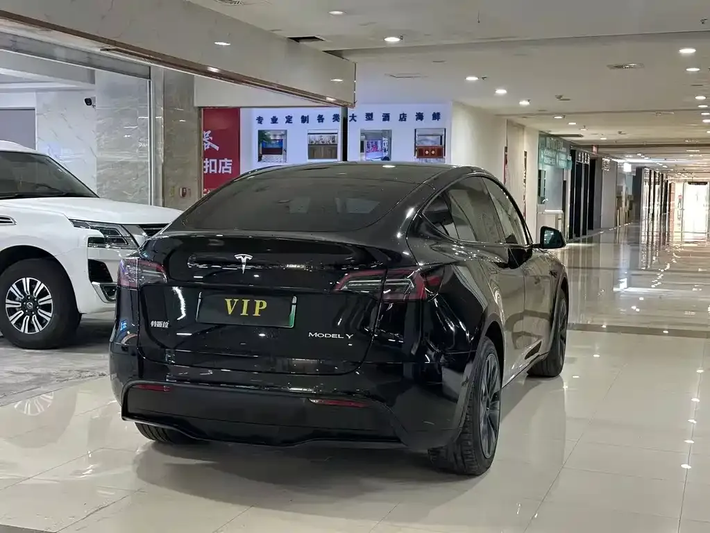 Tesla Model Y — фото 9