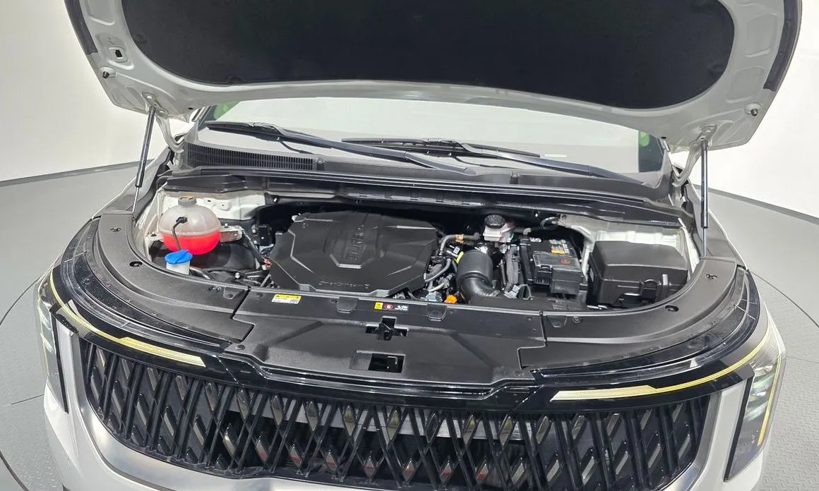 Kia Carnival — фото 10