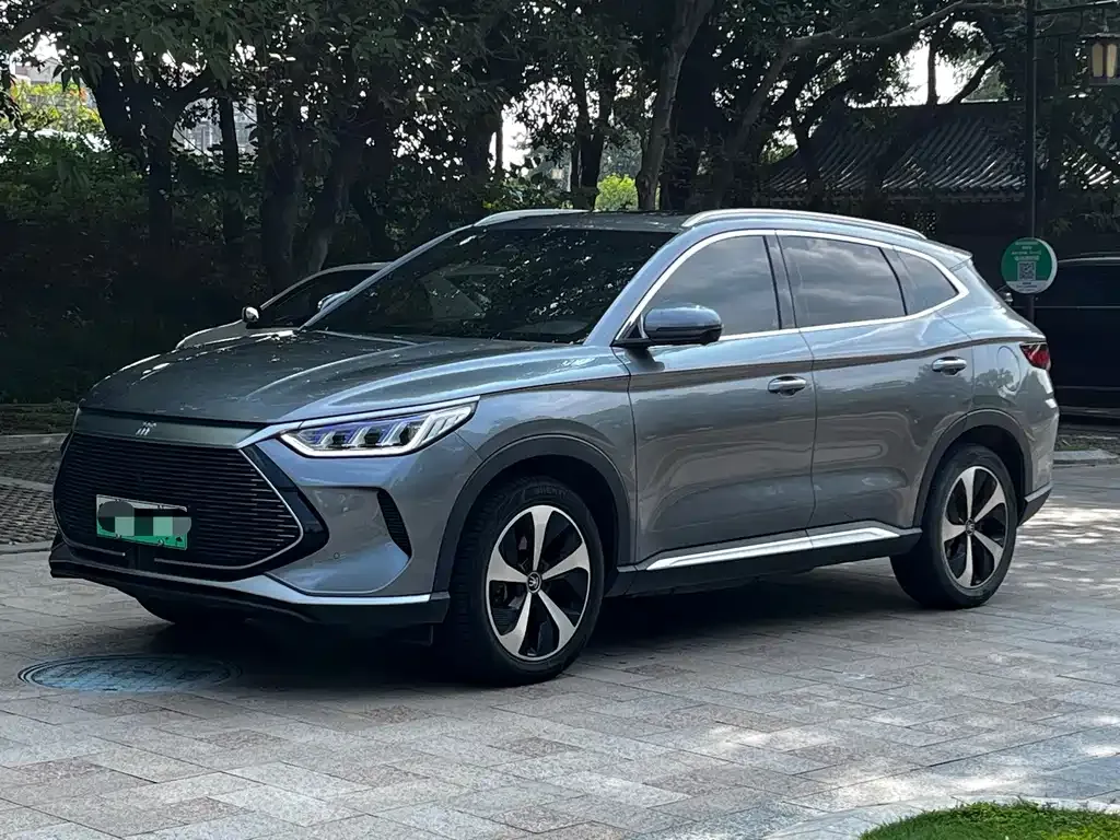 BYD PLUS New Energy — фото 1