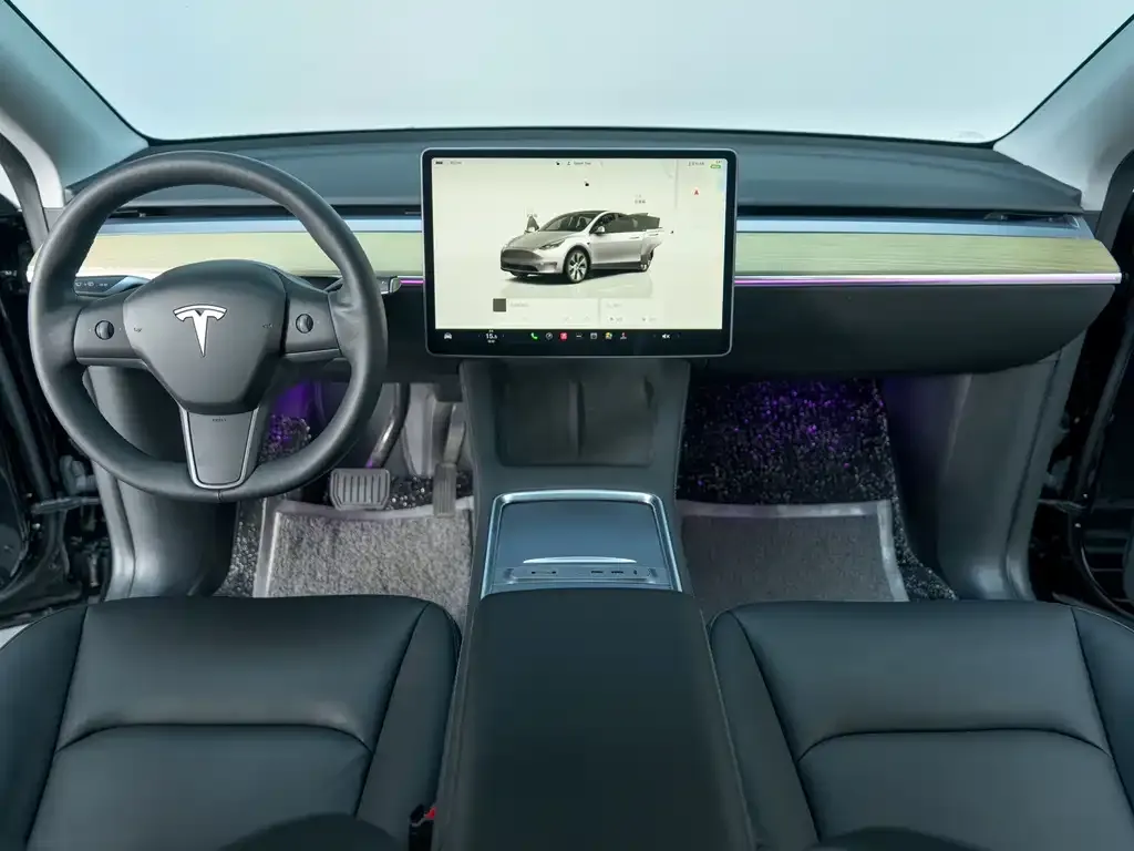 Tesla Model Y — фото 10