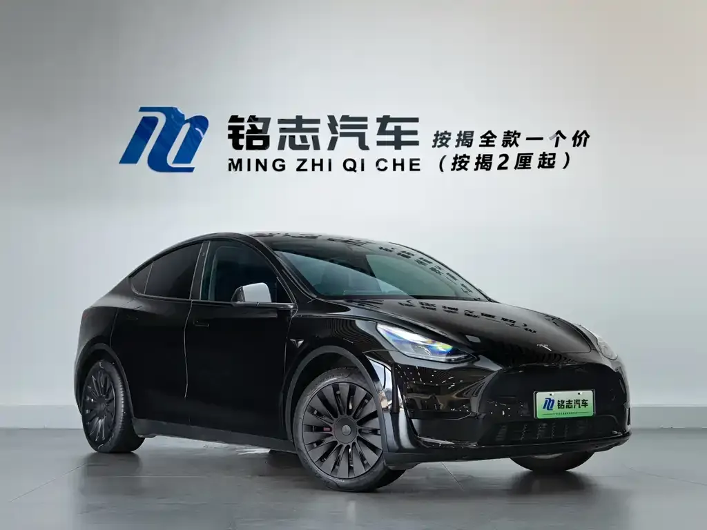 Tesla Model Y — фото 3