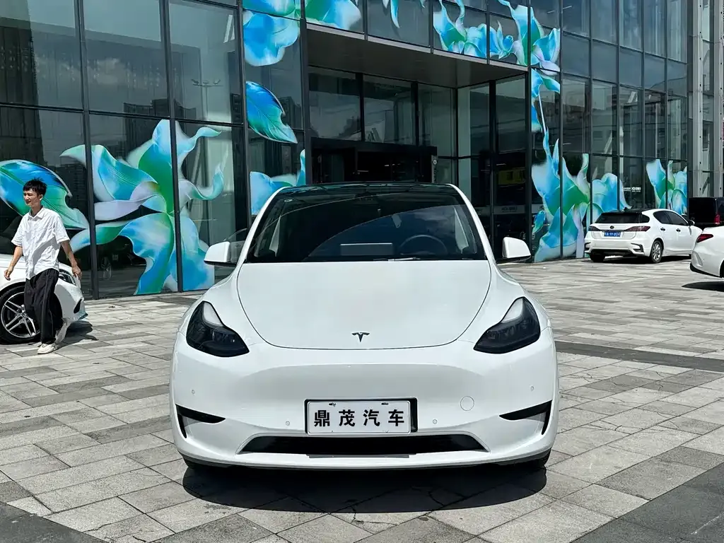 Tesla Model Y — фото 2