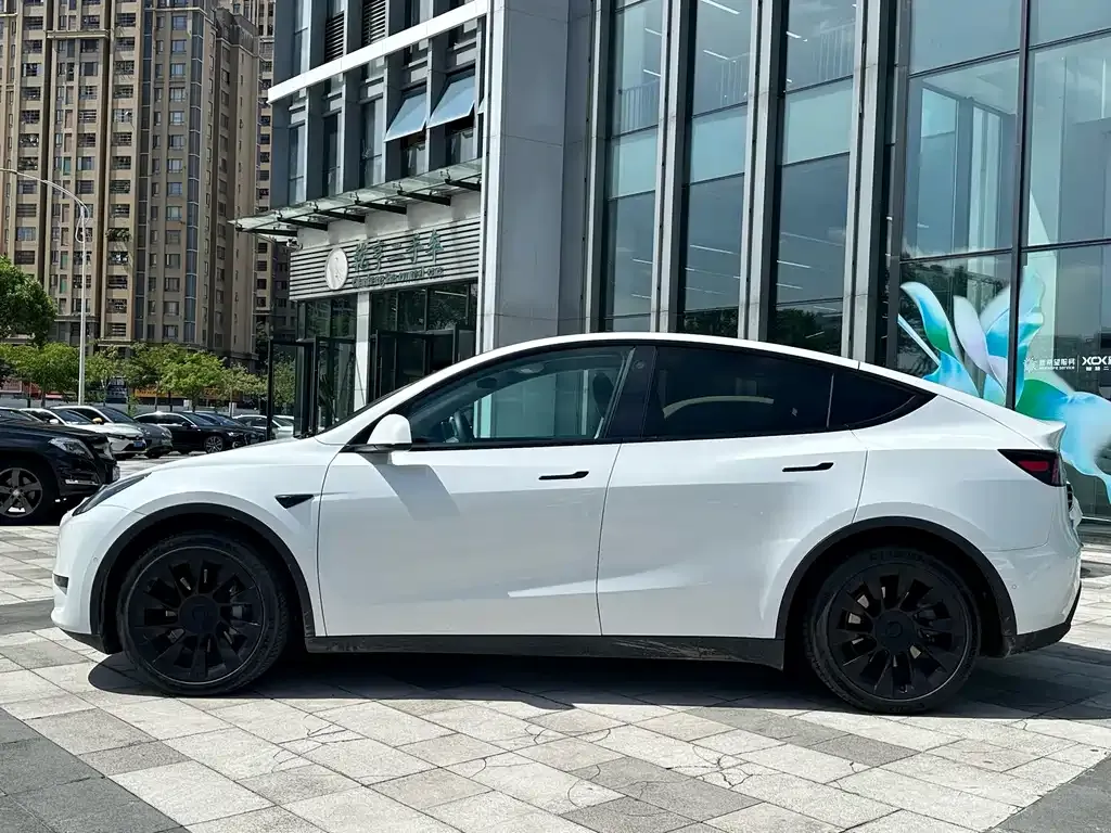 Tesla Model Y — фото 9