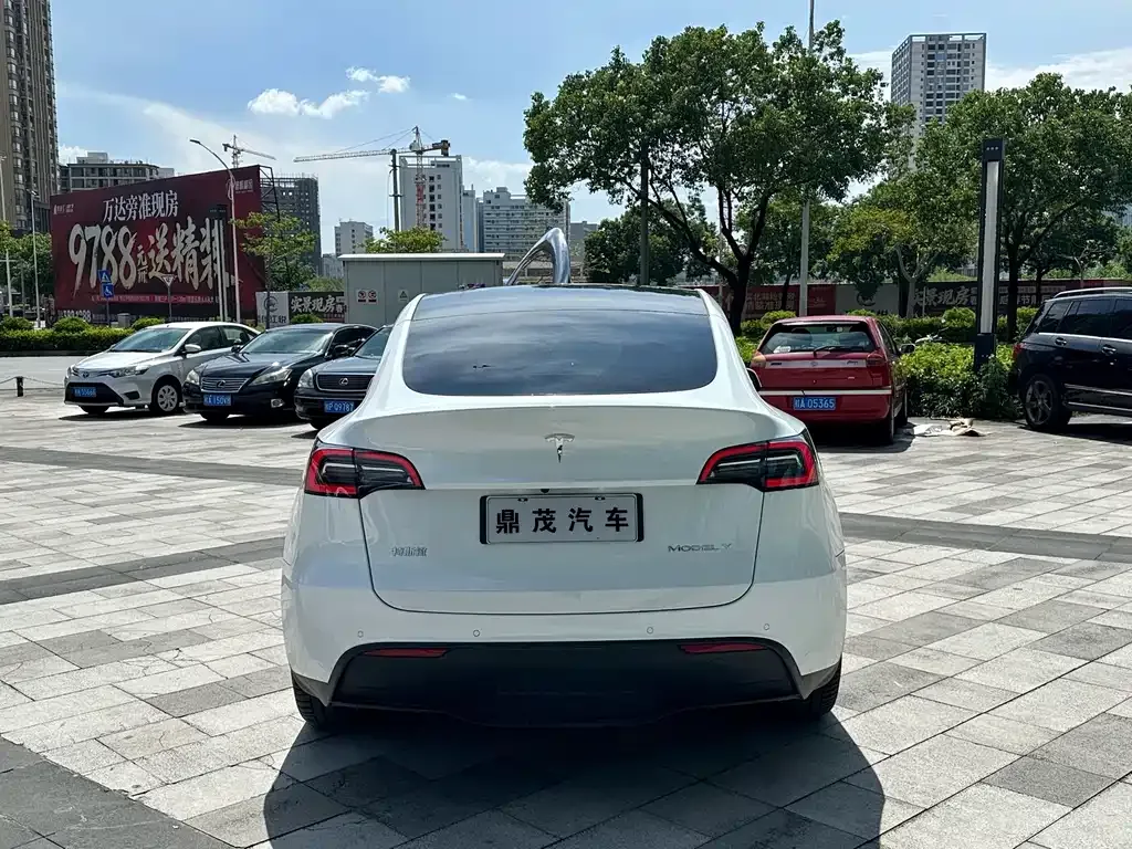 Tesla Model Y — фото 10