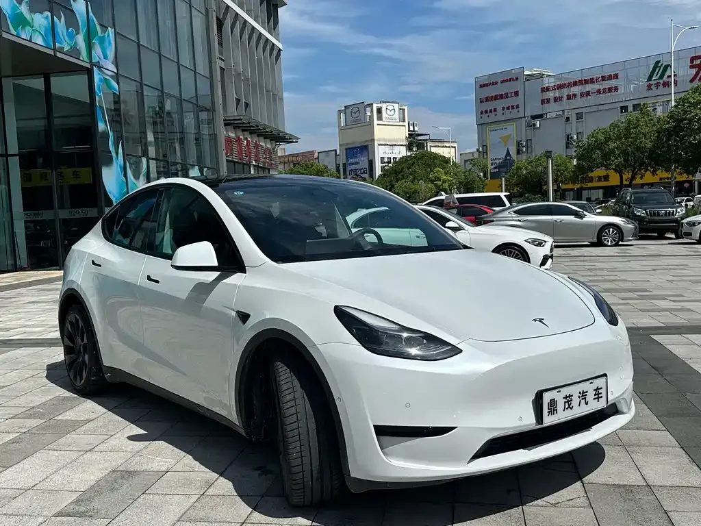 Tesla Model Y — фото 4