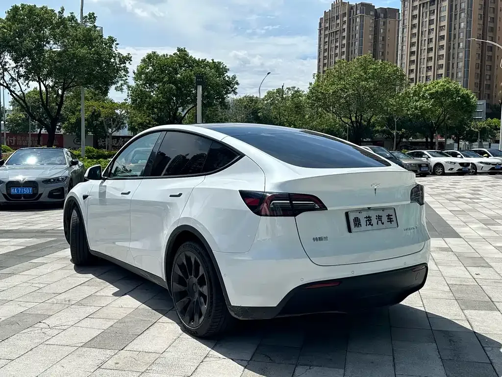 Tesla Model Y — фото 7