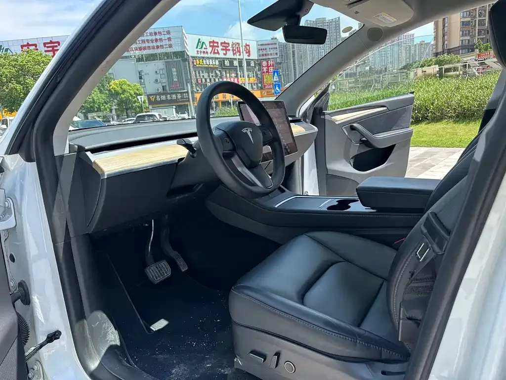 Tesla Model Y — фото 6