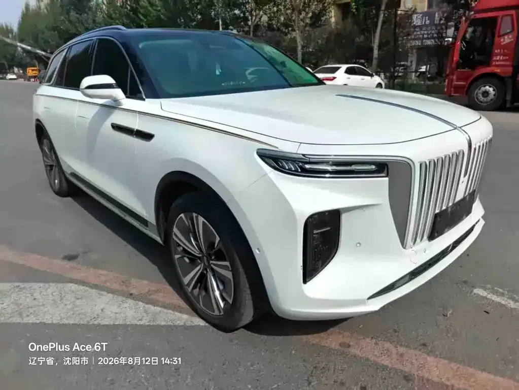 Hongqi E-HS9 — фото 3
