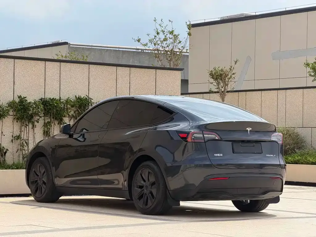 Tesla Model Y — фото 9