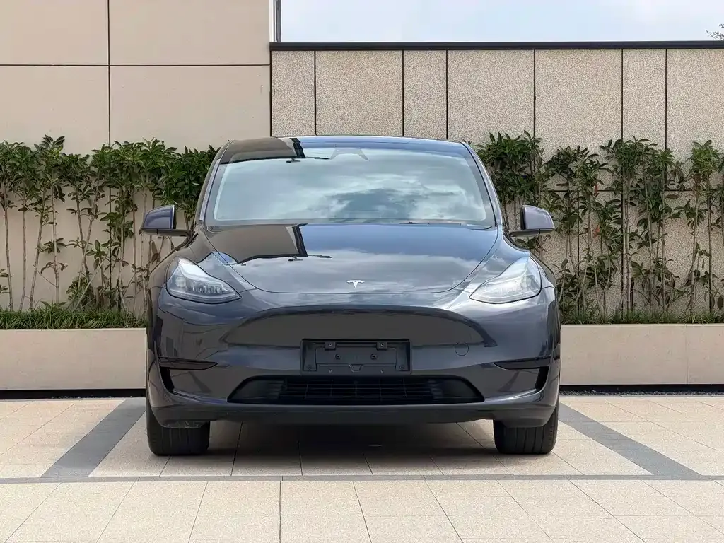 Tesla Model Y — фото 8