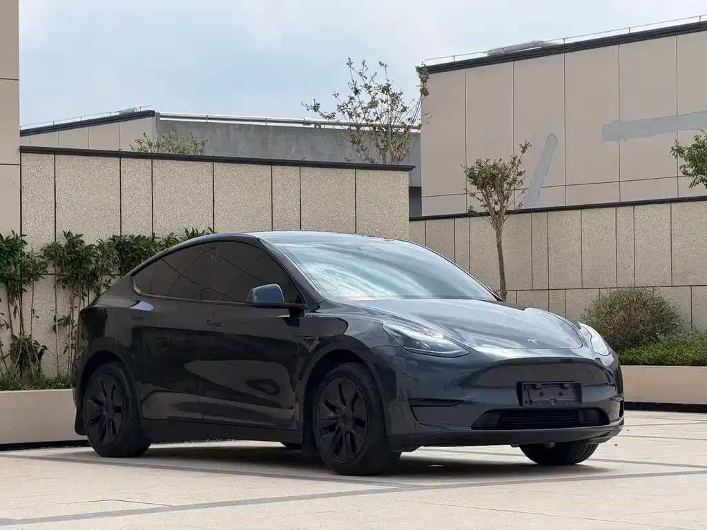 Tesla Model Y — фото 7