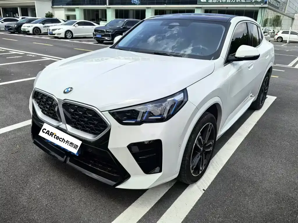 BMW X2 (Import) — фото 1