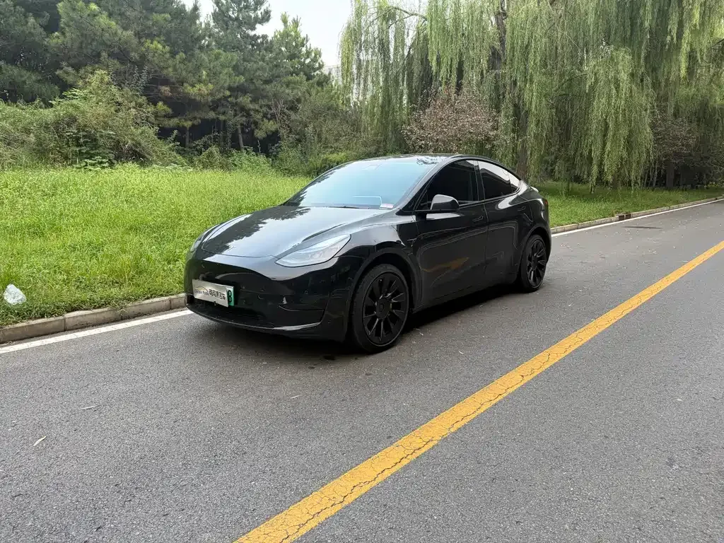 Tesla Model Y — фото 1