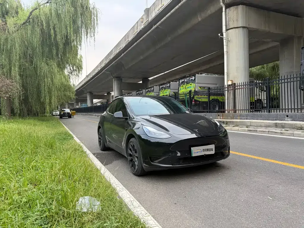 Tesla Model Y — фото 10