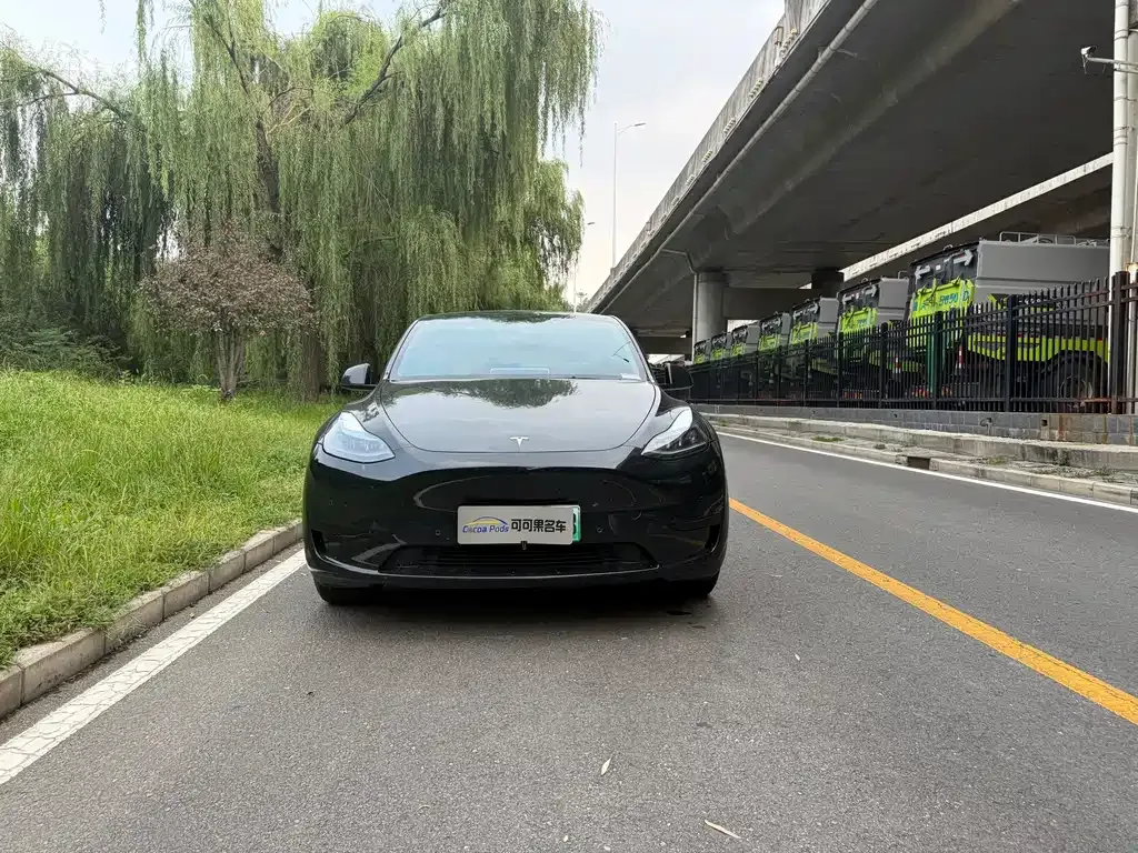 Tesla Model Y — фото 8