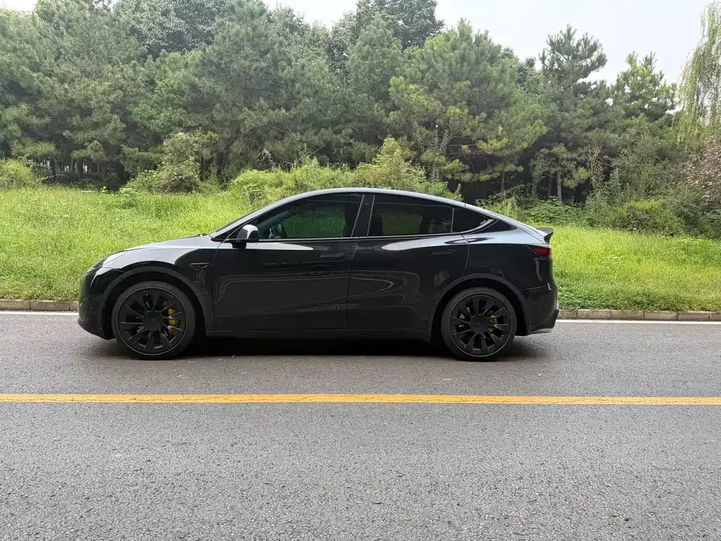 Tesla Model Y — фото 9