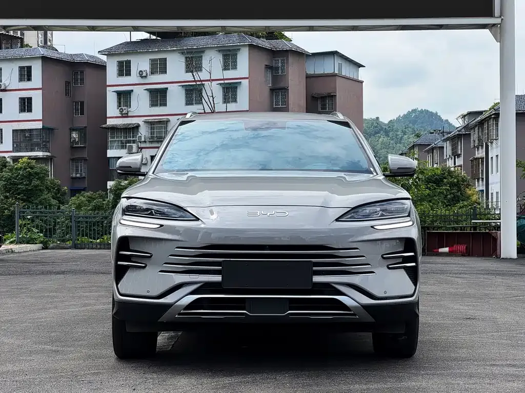 BYD PLUS New Energy — фото 10