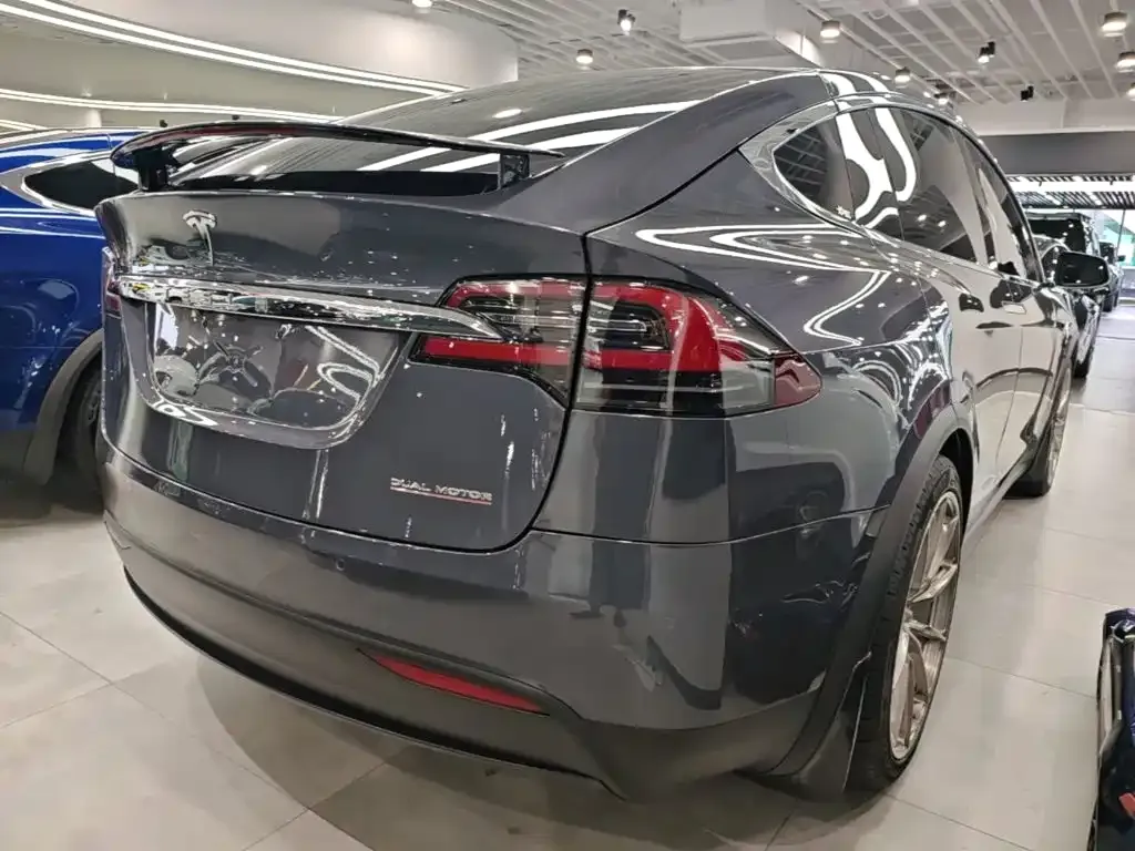Tesla Model X — фото 10
