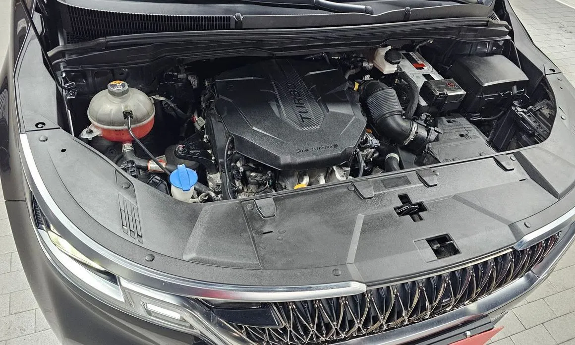Kia Carnival — фото 10