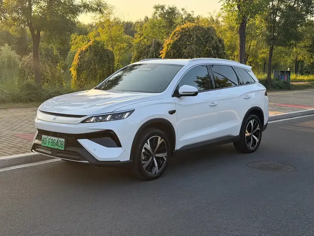 BYD Pro New Energy — фото 1