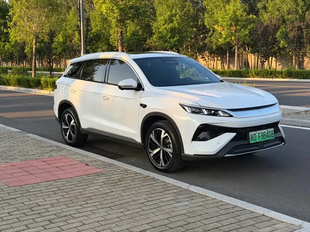 BYD Pro New Energy — фото 7