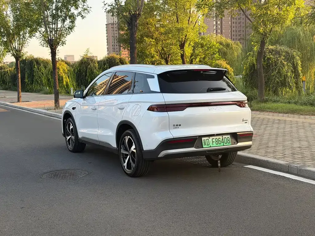 BYD Pro New Energy — фото 8