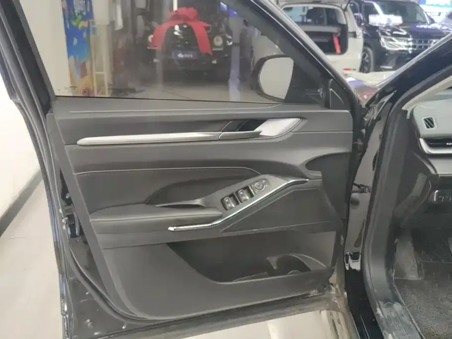 Haval H6 New Energy — фото 4