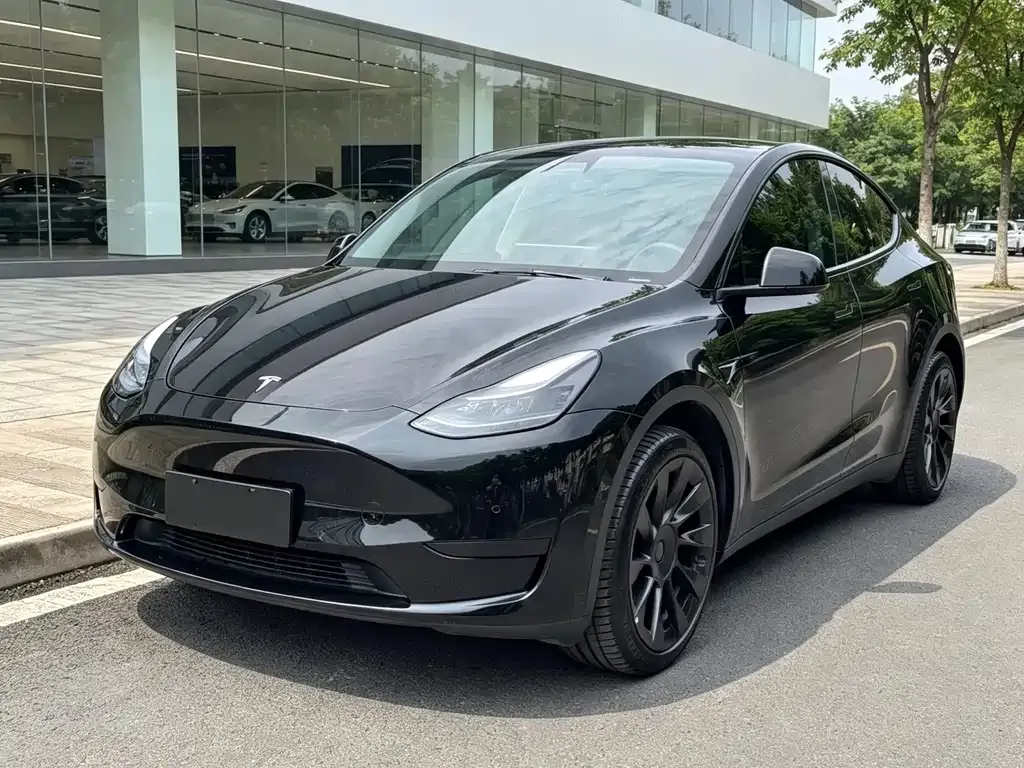 Tesla Model Y — фото 1