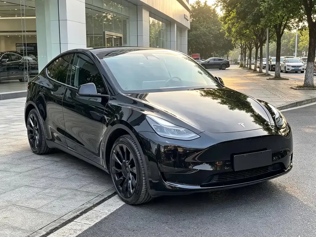 Tesla Model Y — фото 9