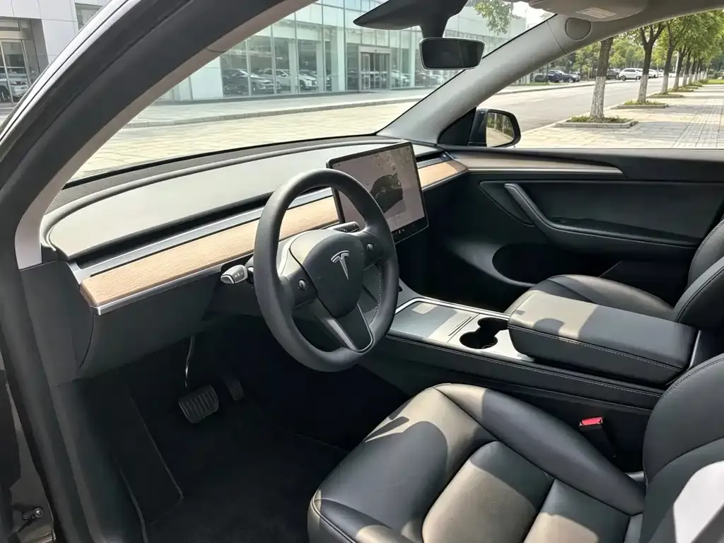 Tesla Model Y — фото 5