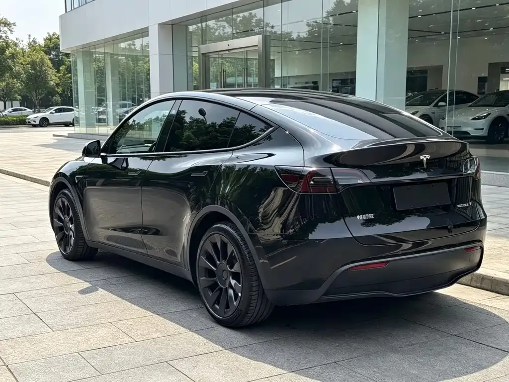 Tesla Model Y — фото 8