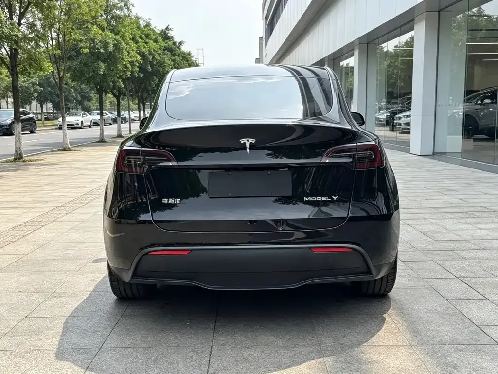 Tesla Model Y — фото 7