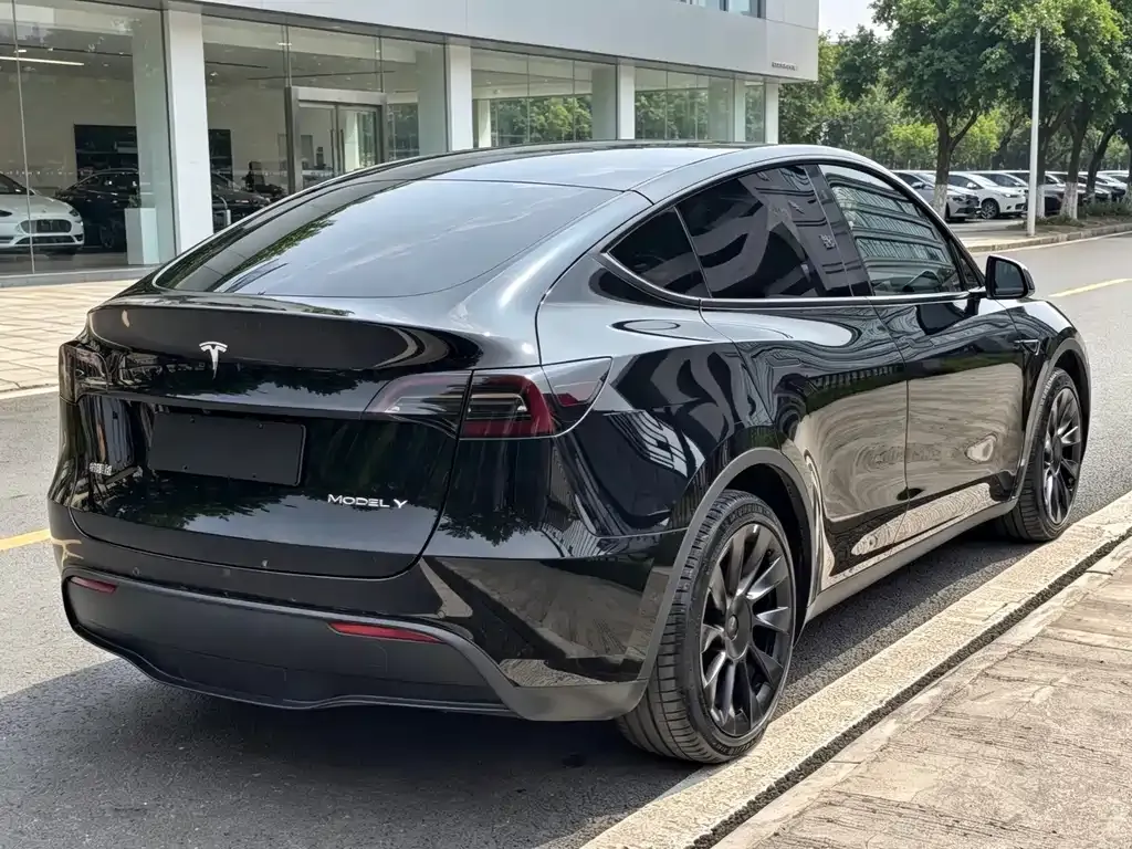 Tesla Model Y — фото 6