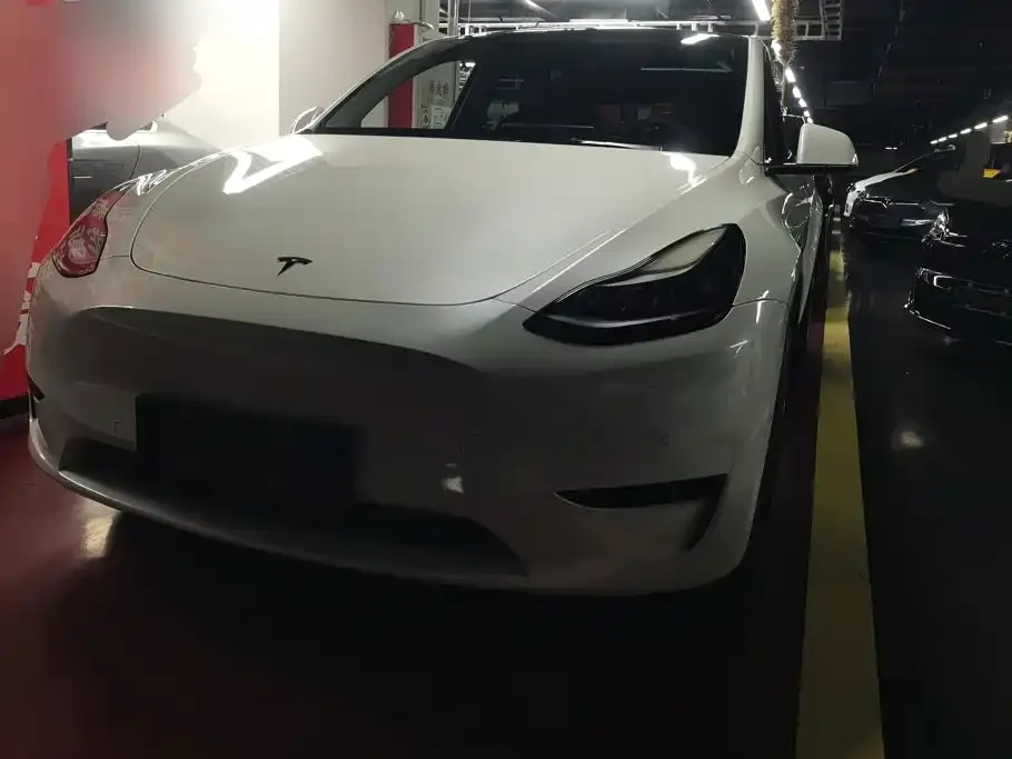 Tesla Model Y — фото 1