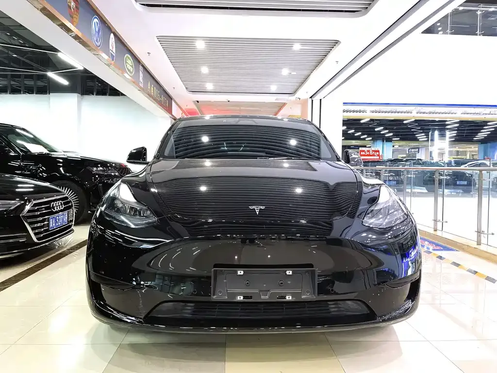 Tesla Model Y — фото 10
