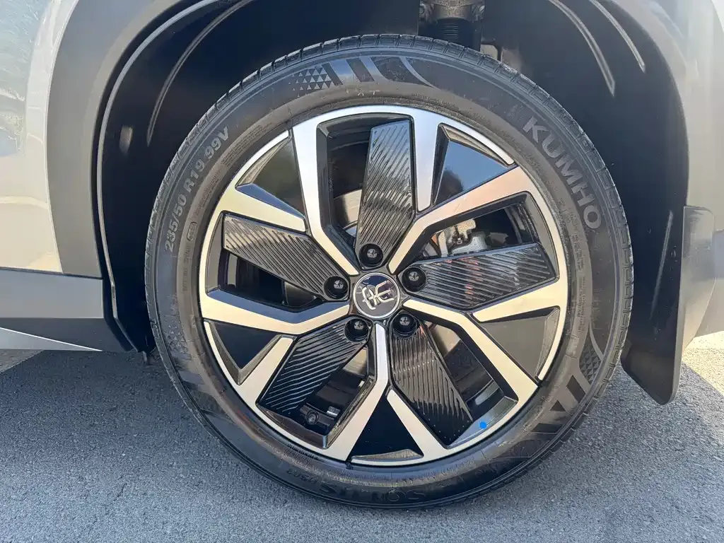 BYD L DM-i — фото 4