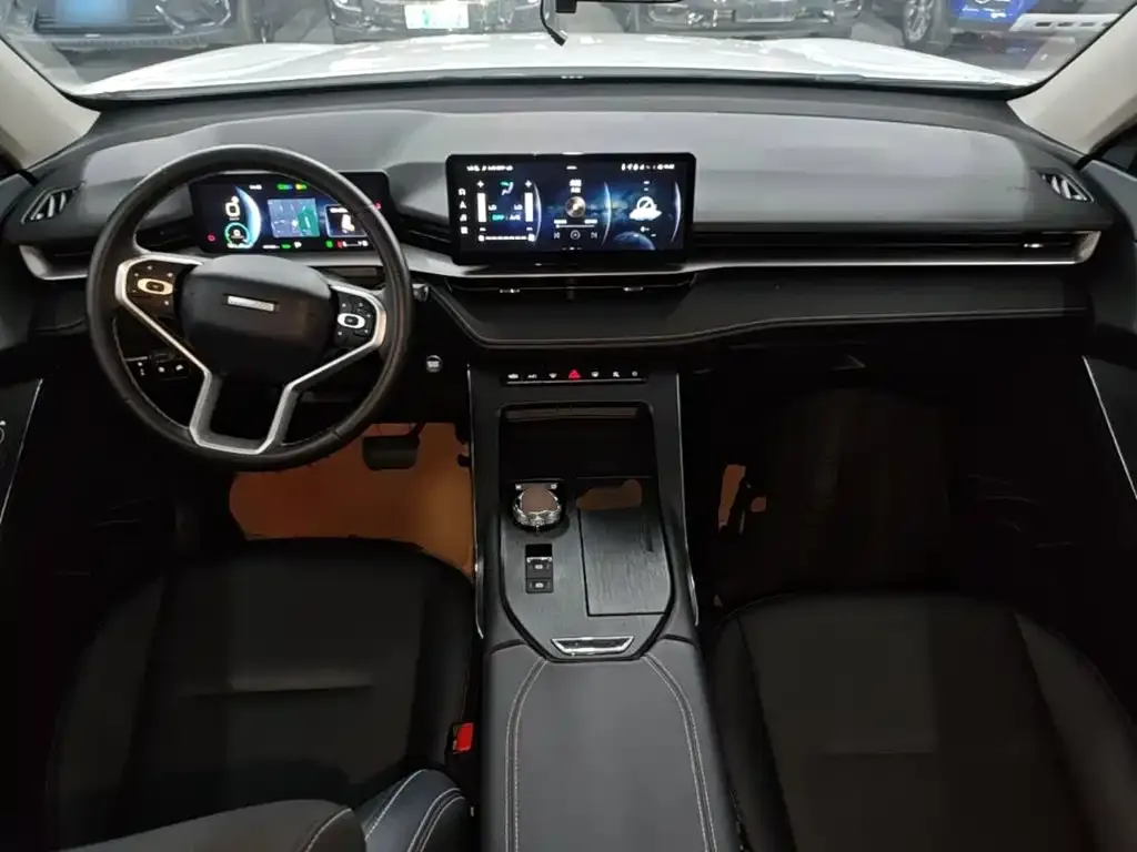 Haval H6 New Energy — фото 3