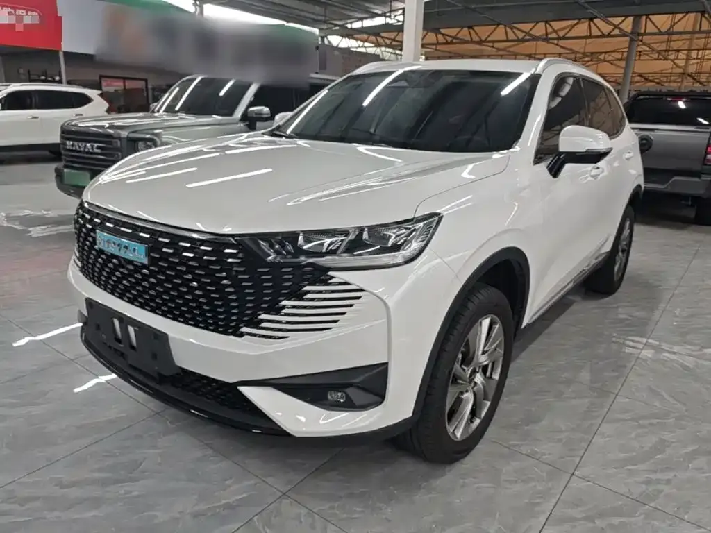 Haval H6 New Energy — фото 6