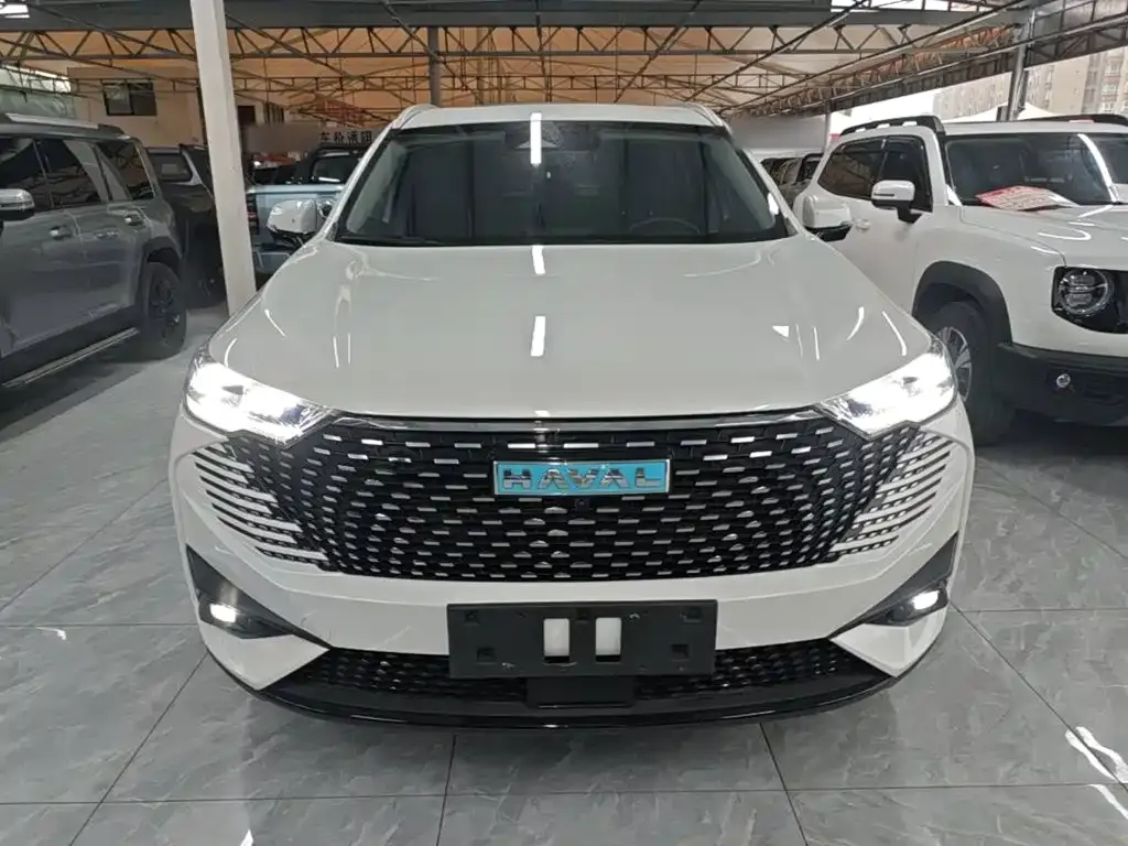 Haval H6 New Energy — фото 8