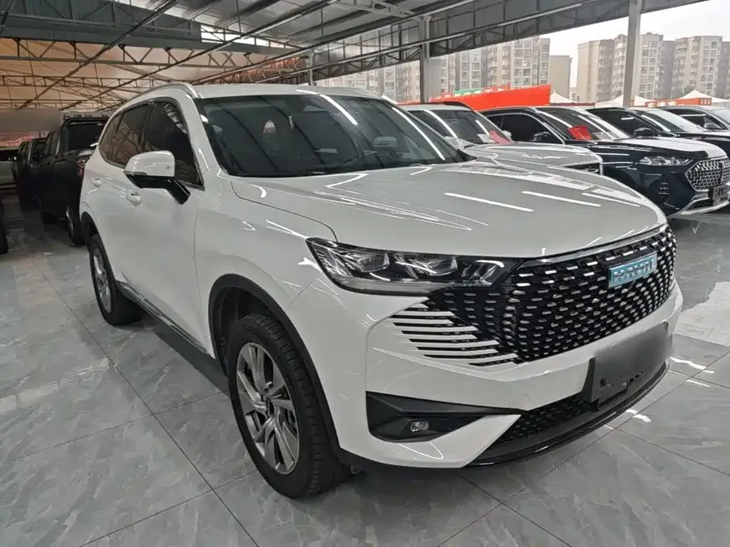 Haval H6 New Energy — фото 5