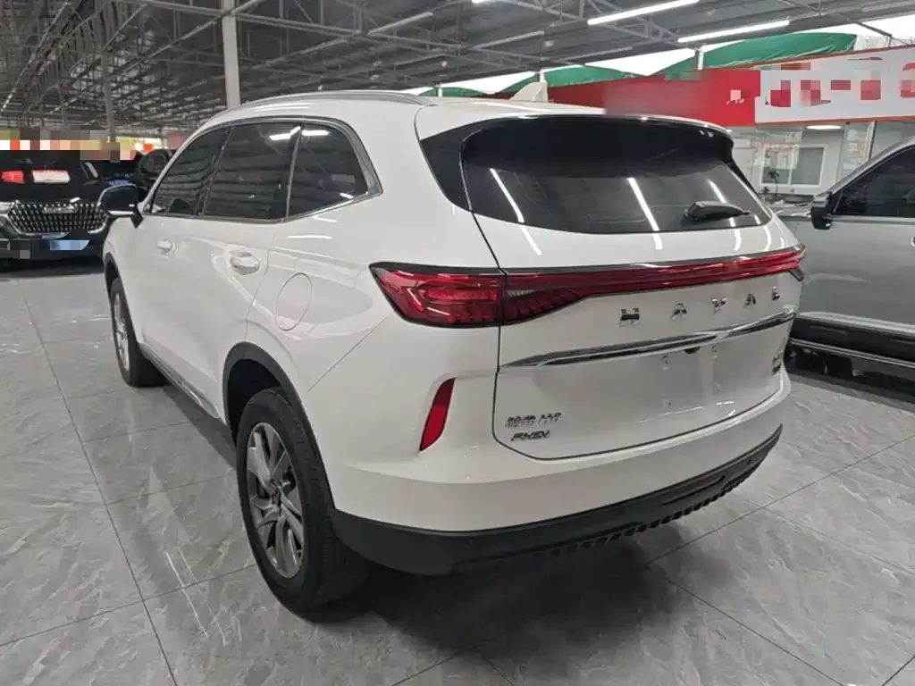 Haval H6 New Energy — фото 7