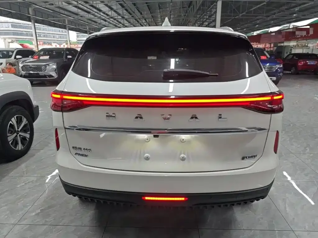 Haval H6 New Energy — фото 9