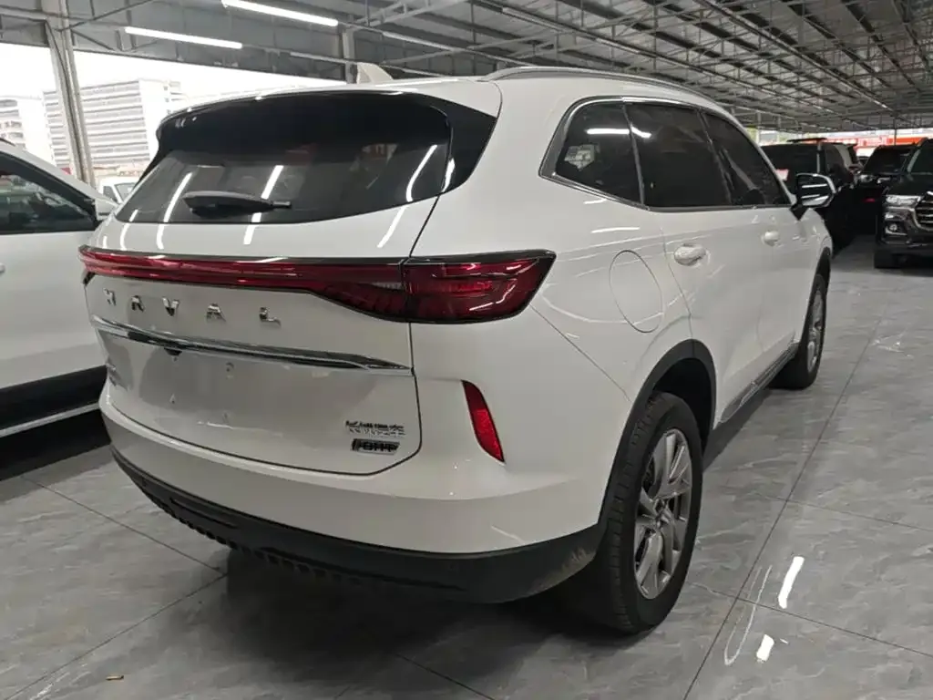 Haval H6 New Energy — фото 10