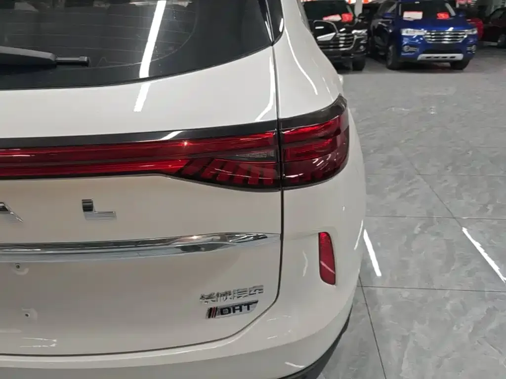 Haval H6 New Energy — фото 4