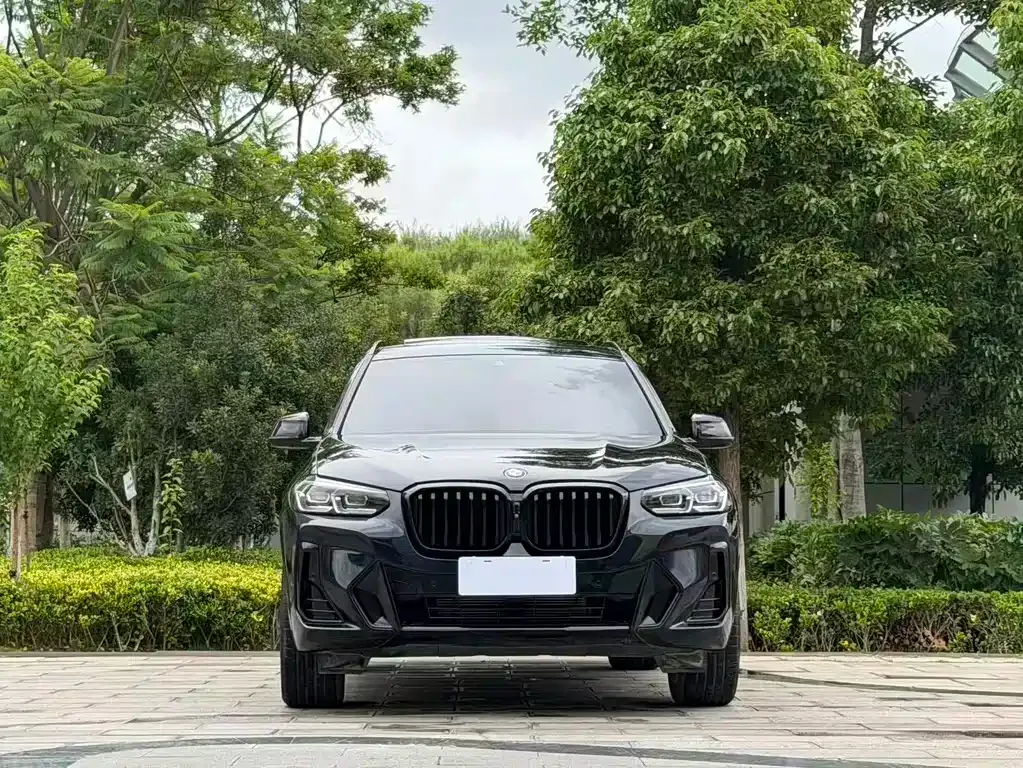 BMW X3 — фото 6