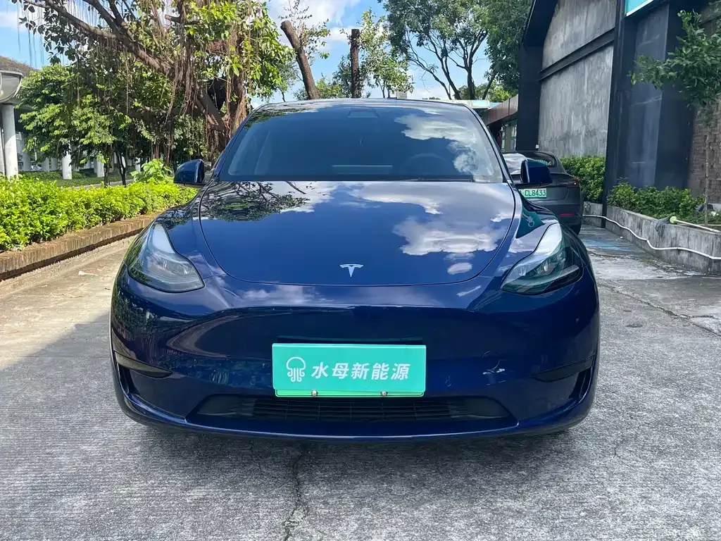 Tesla Model Y — фото 10