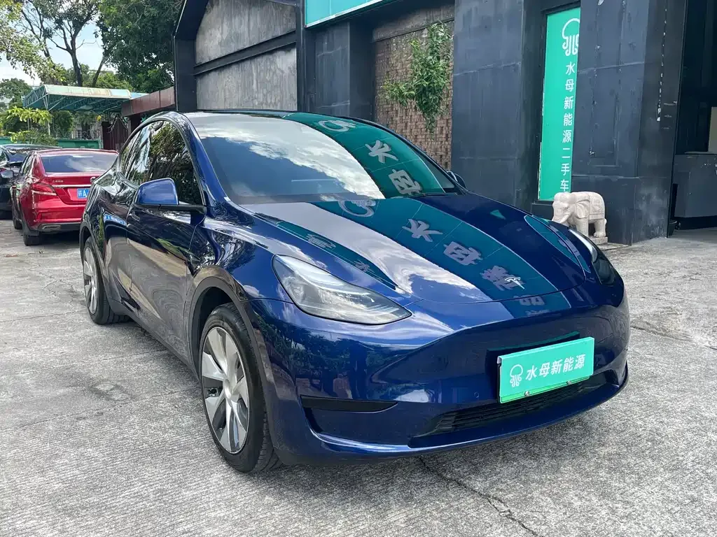 Tesla Model Y — фото 9
