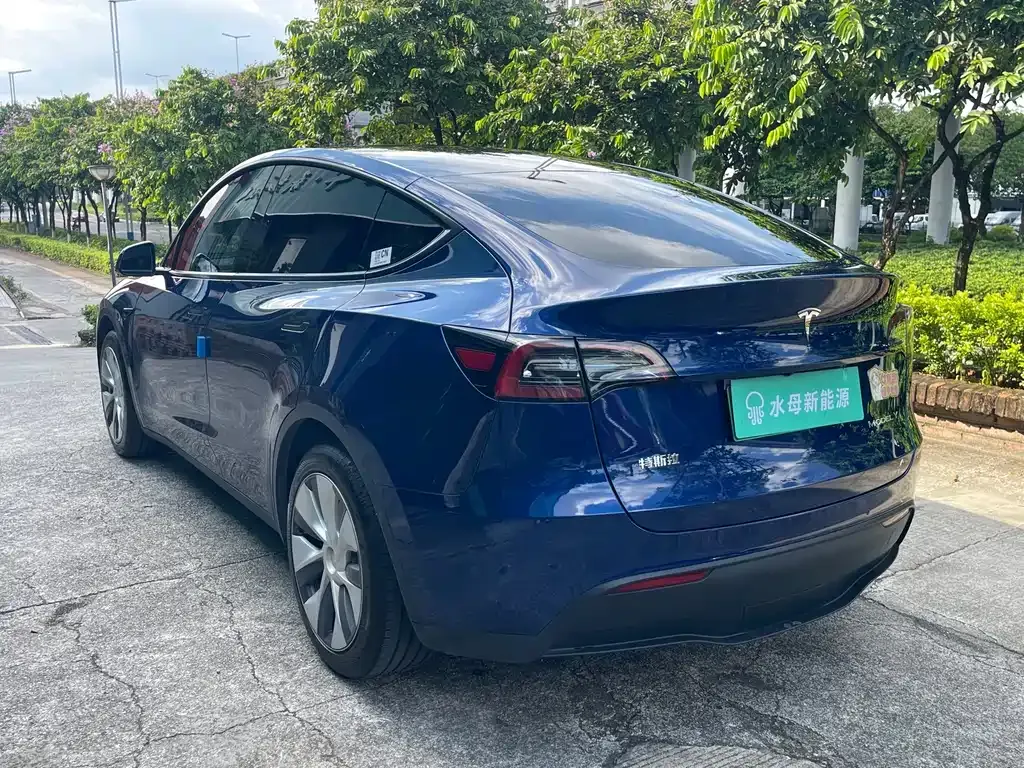 Tesla Model Y — фото 8