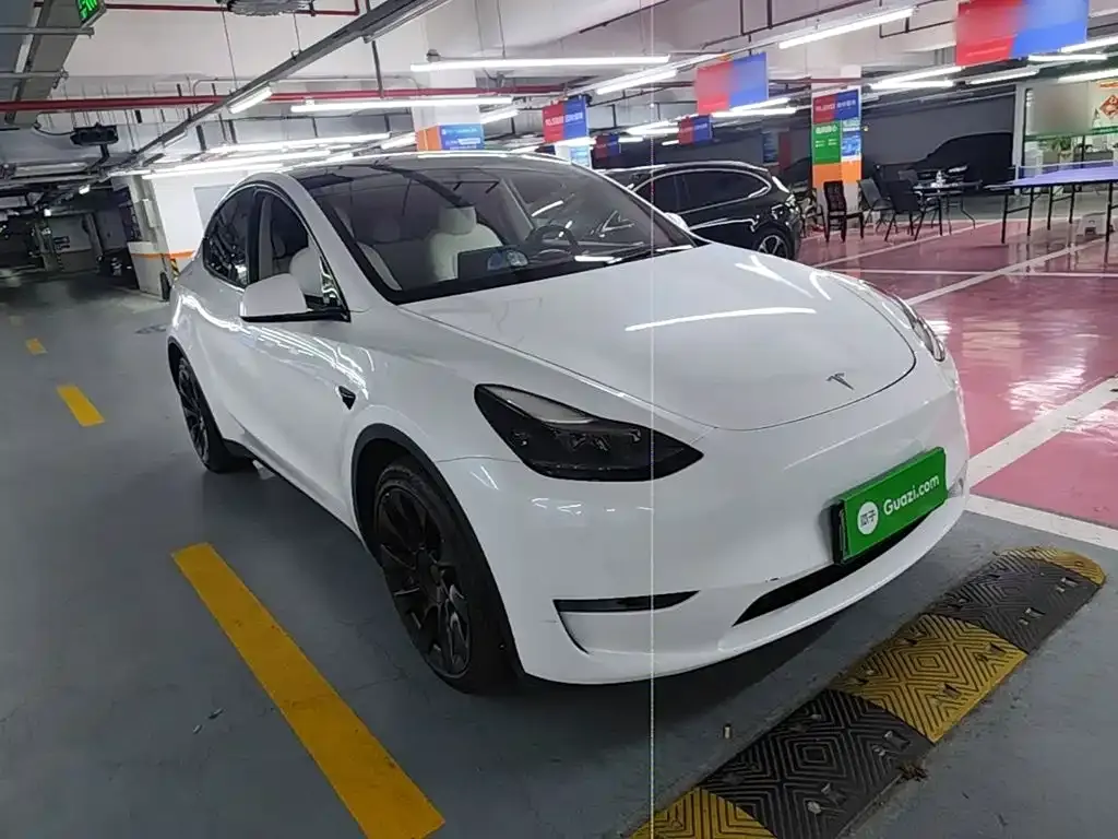 Tesla Model Y — фото 10
